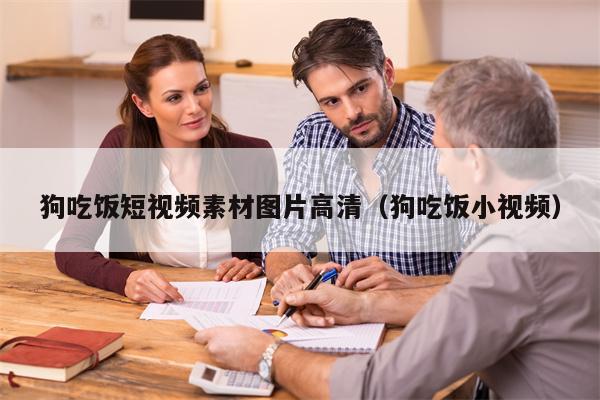 狗吃饭短视频素材图片高清（狗吃饭小视频）