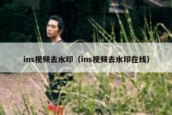 ins视频去水印（ins视频去水印在线）