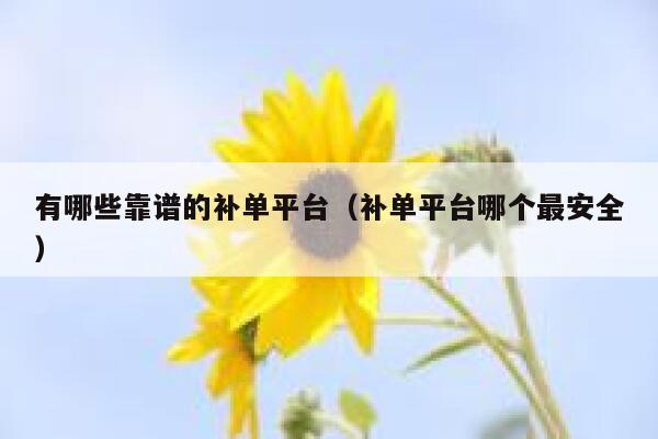 有哪些靠谱的补单平台（补单平台哪个最安全）