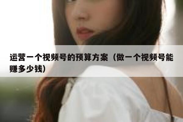 运营一个视频号的预算方案（做一个视频号能赚多少钱）