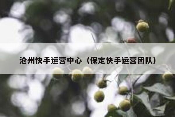 沧州快手运营中心（保定快手运营团队）