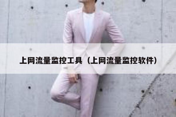上网流量监控工具（上网流量监控软件）