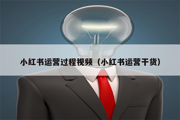 小红书运营过程视频（小红书运营干货）