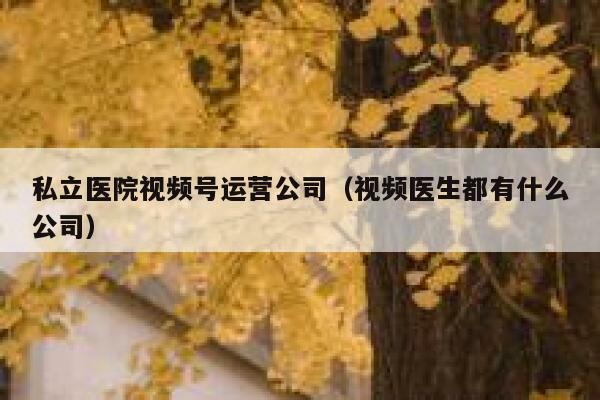 私立医院视频号运营公司（视频医生都有什么公司）
