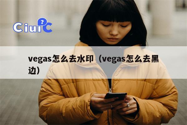 vegas怎么去水印（vegas怎么去黑边）