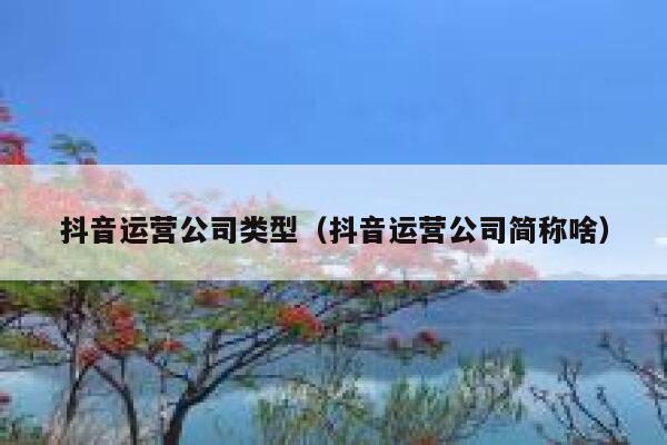 抖音运营公司类型（抖音运营公司简称啥）