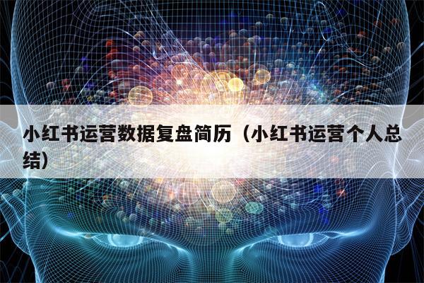 小红书运营数据复盘简历（小红书运营个人总结）
