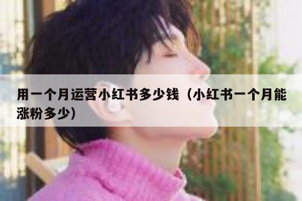 用一个月运营小红书多少钱（小红书一个月能涨粉多少）