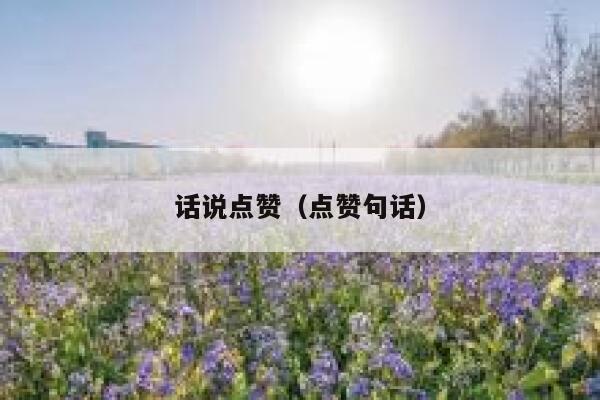 话说点赞（点赞句话）