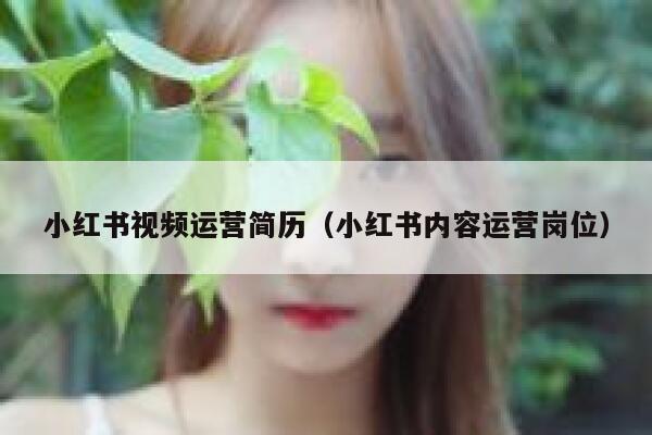 小红书视频运营简历（小红书内容运营岗位）