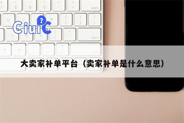 大卖家补单平台（卖家补单是什么意思）