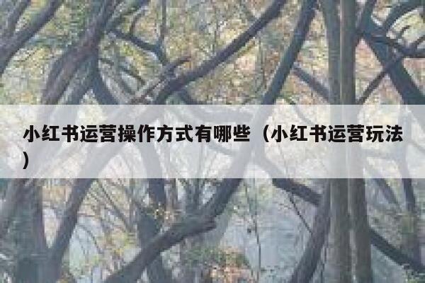 小红书运营操作方式有哪些（小红书运营玩法）