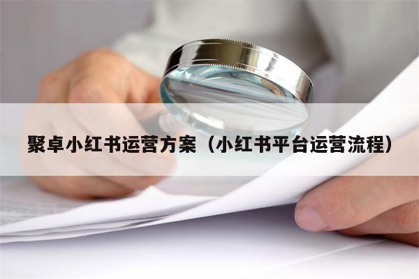 聚卓小红书运营方案（小红书平台运营流程）
