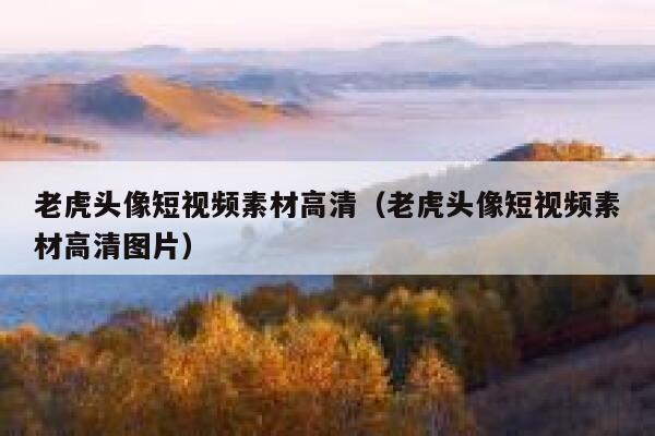 老虎头像短视频素材高清（老虎头像短视频素材高清图片）