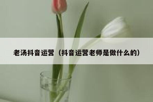老汤抖音运营（抖音运营老师是做什么的）