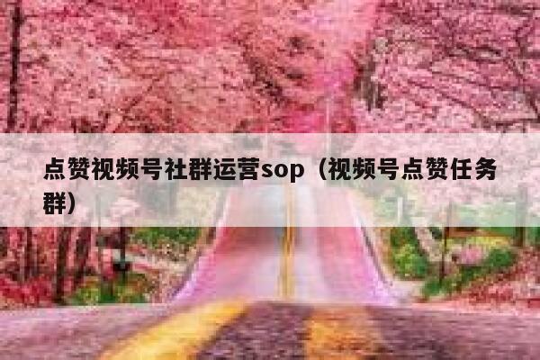 点赞视频号社群运营sop（视频号点赞任务群）