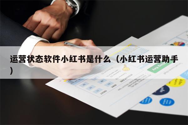 运营状态软件小红书是什么（小红书运营助手）