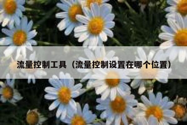 流量控制工具（流量控制设置在哪个位置）