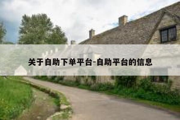 关于自助下单平台-自助平台的信息