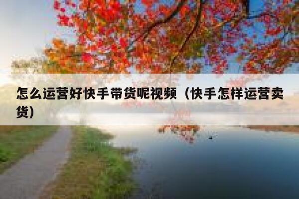 怎么运营好快手带货呢视频（快手怎样运营卖货）
