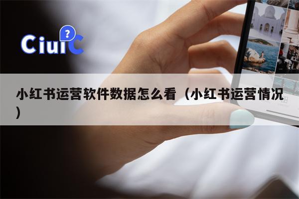 小红书运营软件数据怎么看（小红书运营情况）
