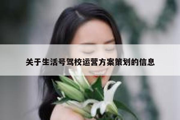 关于生活号驾校运营方案策划的信息