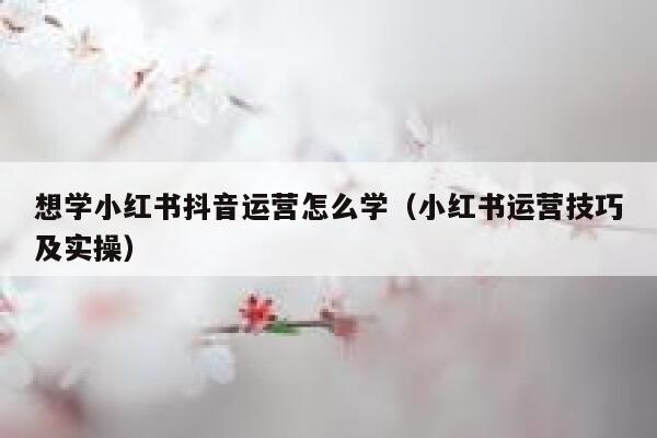 想学小红书抖音运营怎么学（小红书运营技巧及实操）