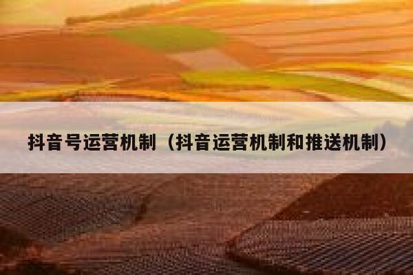 抖音号运营机制（抖音运营机制和推送机制）