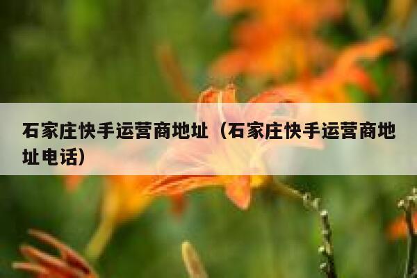 石家庄快手运营商地址（石家庄快手运营商地址电话）