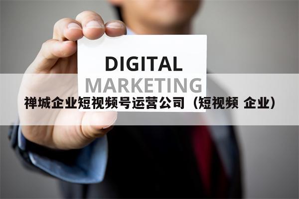 禅城企业短视频号运营公司（短视频 企业）