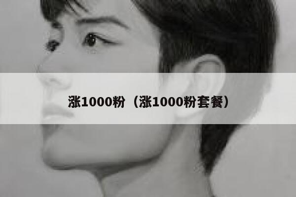 涨1000粉（涨1000粉套餐）