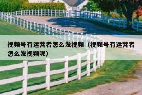 视频号有运营者怎么发视频（视频号有运营者怎么发视频呢）