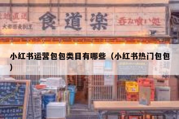 小红书运营包包类目有哪些（小红书热门包包）