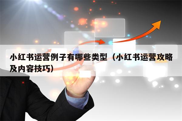 小红书运营例子有哪些类型（小红书运营攻略及内容技巧）