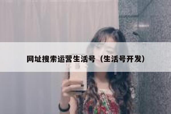 网址搜索运营生活号（生活号开发）