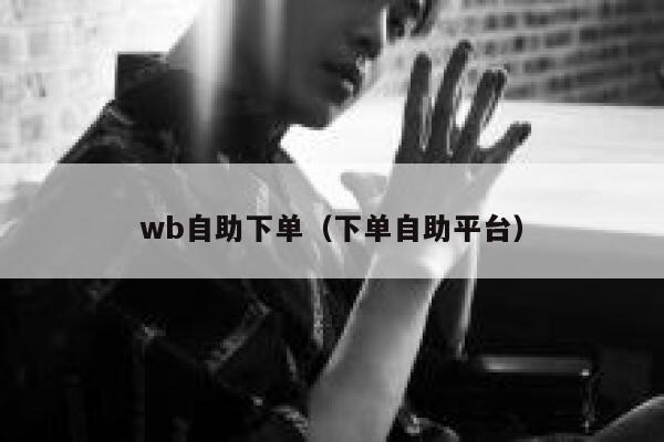 wb自助下单（下单自助平台）
