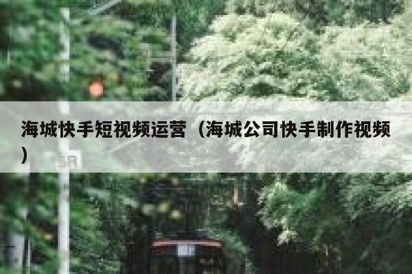 海城快手短视频运营（海城公司快手制作视频）