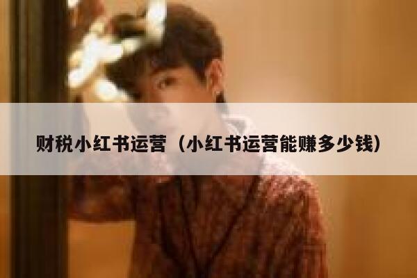 财税小红书运营（小红书运营能赚多少钱）