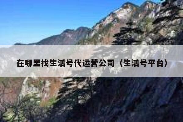 在哪里找生活号代运营公司（生活号平台）