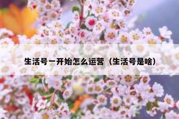 生活号一开始怎么运营（生活号是啥）