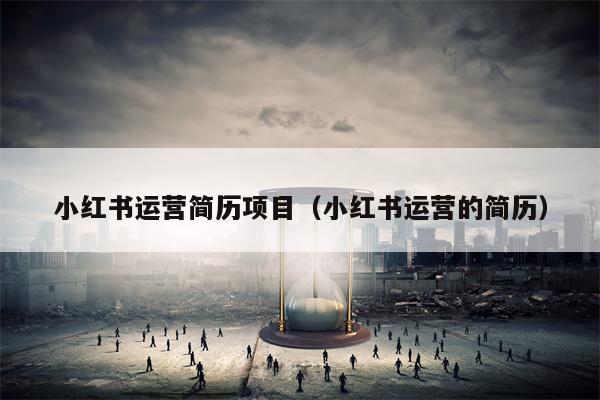 小红书运营简历项目（小红书运营的简历）