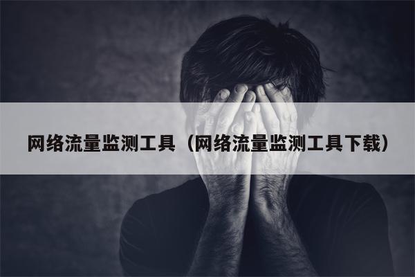 网络流量监测工具（网络流量监测工具下载）
