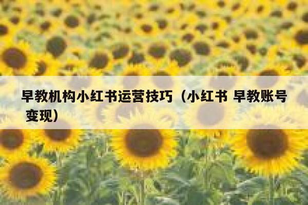 早教机构小红书运营技巧（小红书 早教账号 变现）