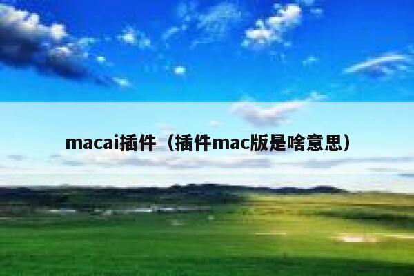 macai插件（插件mac版是啥意思）