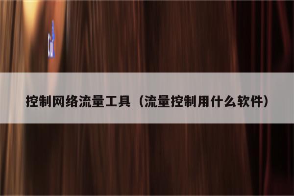 控制网络流量工具（流量控制用什么软件）