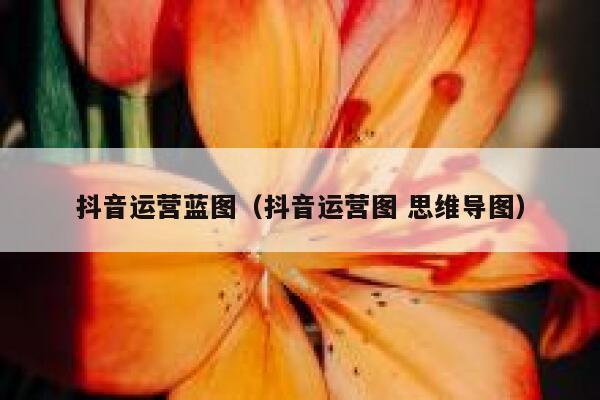 抖音运营蓝图（抖音运营图 思维导图）