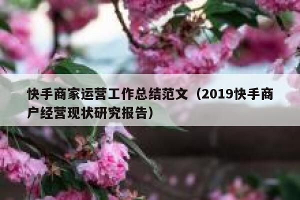 快手商家运营工作总结范文（2019快手商户经营现状研究报告）