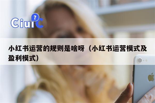 小红书运营的规则是啥呀（小红书运营模式及盈利模式）