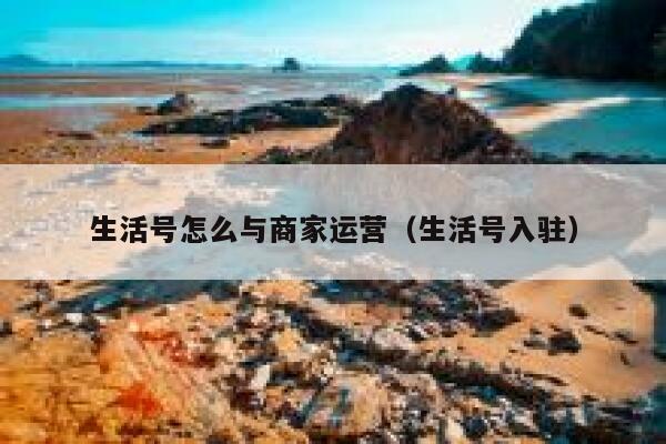 生活号怎么与商家运营（生活号入驻）