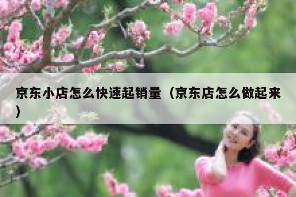 京东小店怎么快速起销量（京东店怎么做起来）